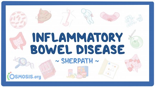 Inflammatory Bowel Disease: Video, Causes, & Meaning | Osmosis