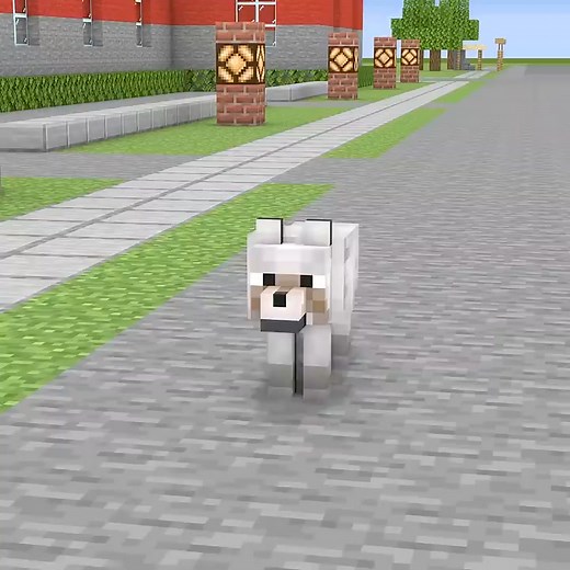 3.4K views · 134 reactions | The Smart Dog Helps Everyone Avoid Dangerous Hole #minecraft #minecraftmemes #minecraftvideos #minecrafter #minecraftbuild #minecraftclips #gaming #reels #twitch #tiktok #article #minecraftanimation #minecraftzombie #skibiditoilet #minecraftjapan #minecraftusa #minecraftaustralia #monsterschool #minecraftcanada | BigSchool Minecraft | Facebook