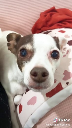 How to Measure Graduation Cap Dimensions for Perfect Fit