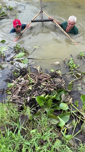 Trapping giant eel fish with primitive survival skills #fishing | Survival with Emma