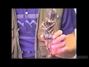 Mummified Alien Discovered In Russia Village