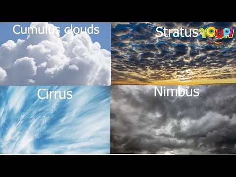 Types of Clouds Explained for Kids! ☁️ | Discover Fun Weather Facts