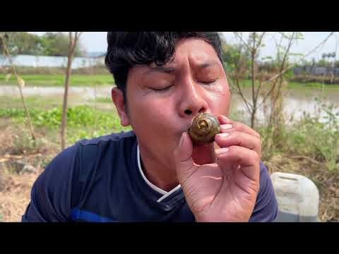 Countryside Snail Cooking Recipe | Fresh Snails from Nature, Delicious Village Food