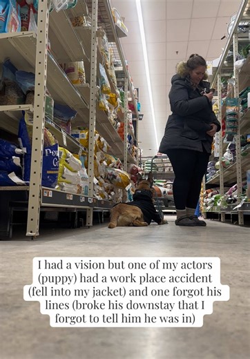 Puppy Casting Mishaps: A Day in Film with Dogs