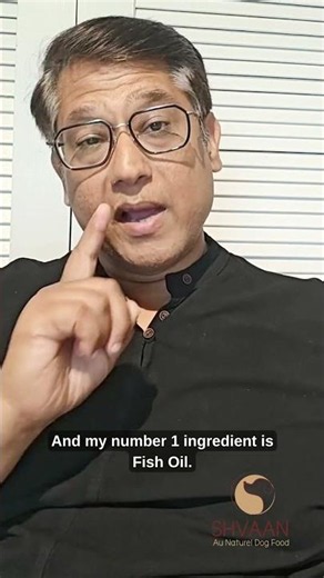 Best Foods for Itchy Dogs? (Part 2) | Papa Rank Karo