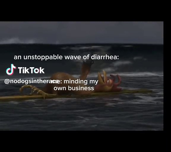 Cute Animated Moments from Surf's Up Featuring Chicken Joe