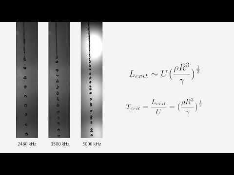 The Plateau-Rayleigh Instability