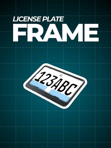 License Plate Protector: Keep Your Plates Safe