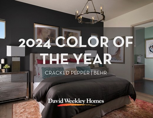 Discover the timeless allure of Behr's 2024 Color of the Year, Cracked Pepper. Whether you're going for a bold room transformation or creating a cozy ambiance with a single accent wall, this soft black hue adds a touch of modern elegance. Explore the Colors of the Year for 2024 and more: https://bit.ly/42mlFaD #HomeDesign #InteriorInspo #ColorOfTheYear #DavidWeekleyHomes #Behr #CrackedPepper | David Weekley Homes