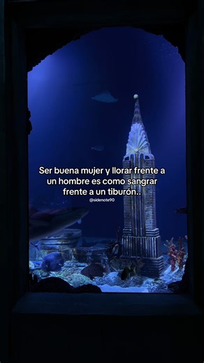 Cómo estás? #mujereslatinas #aquarium #frasesdeamor #compartir #fyppppppppppppppppppppppp