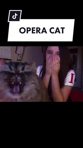 What a legend. #OperaCat #OperaSinger #catsoftiktok #bestsinger #talent #musictok