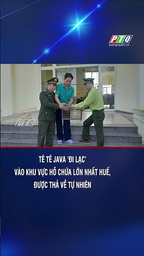 Tê tê Java ‘đi lạc’ vào khu vực hồ chứa lớn nhất Huế, được thả về tự nhiên