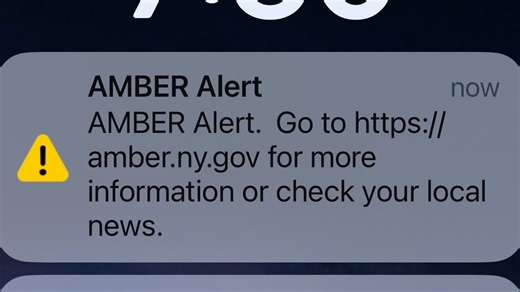 Amber Alert in Georgia for children taken in Florida. What they're wearing, car they're in
