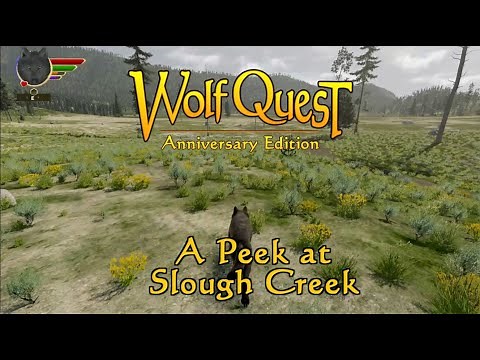 A Peek at Slough Creek