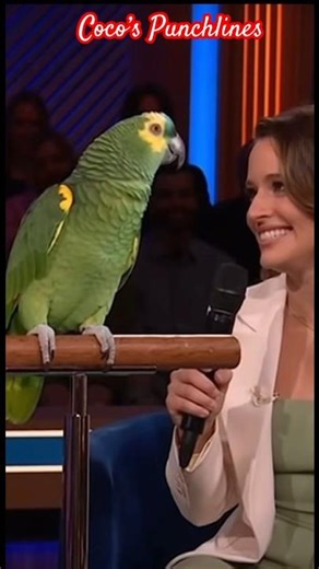 Coco’s funny interview lol