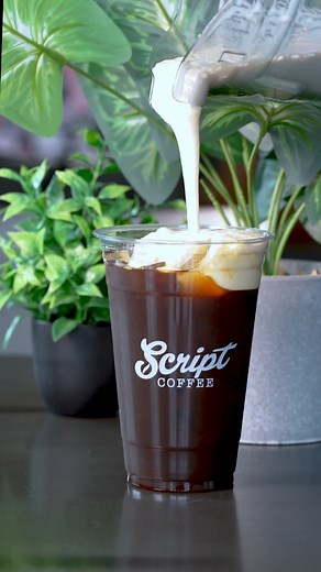 14 reactions | A pour so smooth it deserves its own spotlight. ✨ Pumpkin spice meets cold brew meets fall magic in slow motion. Now pouring for the season. #ScriptCoffee #PumpkinCreamColdBrew #FallDrinks #CoffeeArt #CafeVibes #SipSlow #PumpkinSeason | Script Coffee | Facebook