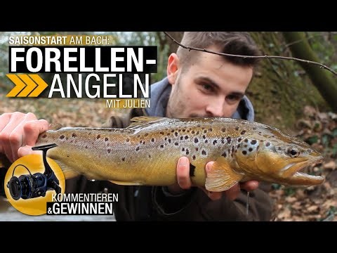 Season opening at the stream: Trout fishing with Julien
