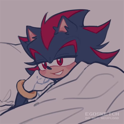 when you’re married but still rivals 💙🖤 #sonic #sonicthehedgehog #shadow #shadowthehedgehog #sonadow