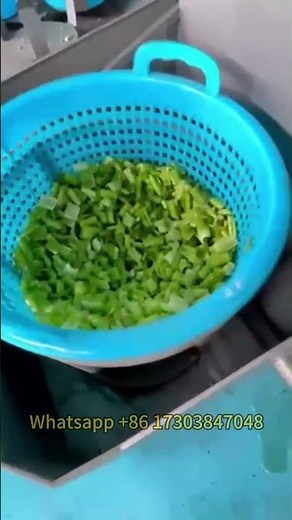 Leaf Vegetable Dewatering Machine | Batch Salad Spin Dryer