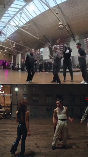 Jungle visuals | rehearsal and recording #rehearsal #ensaio #backon74 @Jungle