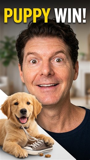 Train Your Puppy The RIGHT Way: Set Them Up To Succeed! #shorts