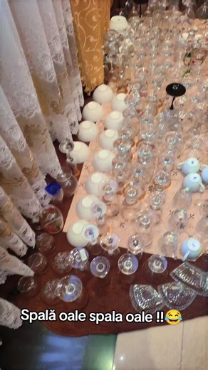 designer_Pana_03 pe TikTok