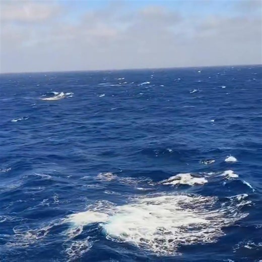 Hum waha.......🌊 | Seafarers of Bangladesh