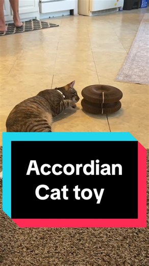 Tap my shopping cart link below, grab one—or honestly, get the 2 or 3-pack of this cat accordion toy—because your cat is going to want more than one. Add to cart now before it sells out! #CatTok #CatToy #CatLife #CatParents #TikTokShop