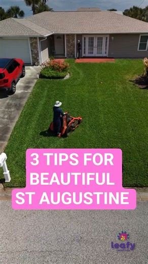 Do these 3 things for beautiful St Augustine grass