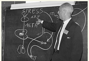 The Phases of Stress Disorder and the Discovery of Nobel Laureate, Hans Selye
