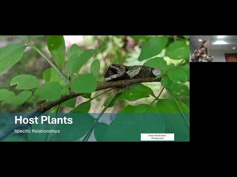 Building Habitat with Host Plant Species with Danielle Bell