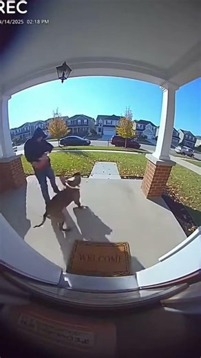Best Package Protection Ever 😂 | Doorbell Fails