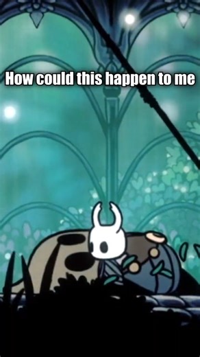 Rip Cloth - Hollow Knight