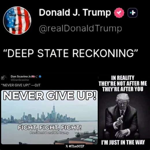 "They're not coming after me, they're coming after you, and I just happen to be standing in their way, and I will NEVER be moved."Never give up!FIGHT, FIGHT, FIGHT!- President DJT