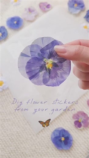 Melek Ulus 🧿 Art on Instagram: "Step by step how to make stickers with 3 materials. These flowers are extra special, as they have been growing and blooming by my window while I paint away. I'll be selling these at my markets, and with every purchase, you'll be getting this sticker! I'll be making different kinds of flower stickers in the future 🥰 Materials: 🌸 flowers that have been pressed 🌸 baking paper 🌸 sticky tape Add sticky tape to baking paper and place your flowers on top. Then, care