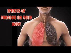 Harmful Effects of Tobacco On The Human Body | Effects of Tobacco on Health