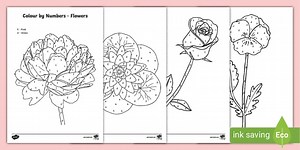 Colouring Different Flower Types by Numbers