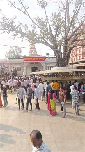 कपाळी लाविला पिवळा भंडारा, बाळूमामाच माझा खरा आधार!"#भंडारा #मामांचावेडा #Darshan