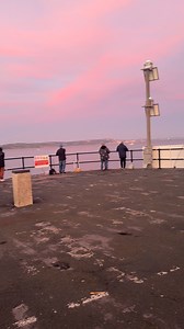 Squid Fishing Uk - Here at Weymouth 2 piers provide some of the best Squid fishing in the UK. Hundreds congregate here and cast their squid jigs out to try and catch the squid! #Fishing #squid #squid fishing #Weymouth #fishinguk | Muscle Fishing