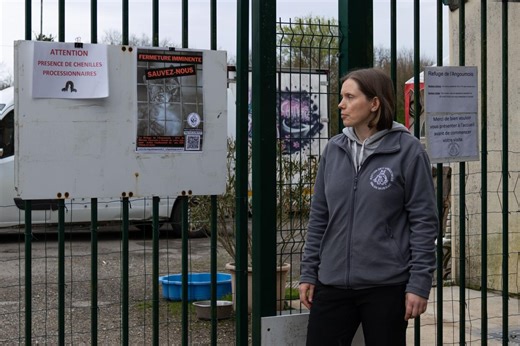 SPA de Mornac : asphyxié financièrement, le refuge de l’Angoumois a « deux mois » pour survivre