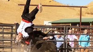 Jackass 4.5 Is Coming Next Month, and We've Got a Painful First Clip