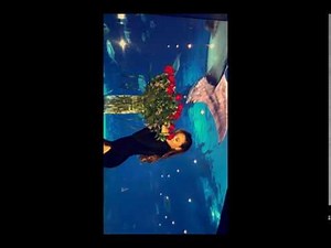 Daphne Joy - Sexy Snapchat Compilation