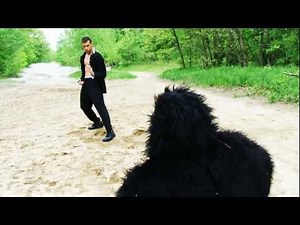 Man Vs. Ape