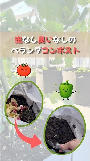 虫無し臭いなしの🐛ベランダコンポスト成功の3つのポイント💡 #ベランダ菜園 #家庭菜園 #コンポスト