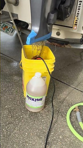 Rydlyme Descaler Flush Yamaha 90 hp 2 Stroke