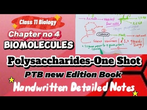 Polysaccharide|Biomolecules|Class 11 biology chapter 4