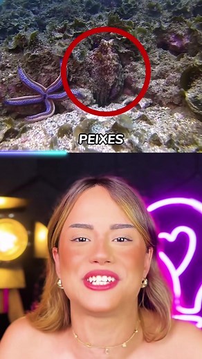 Polvos e Seus Comportamentos Curiosos