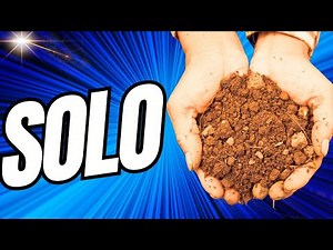 O solo e sua importância