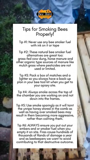 DO this for calm and confident hive inspection! #smokebees #beesmoker | Bee WARE