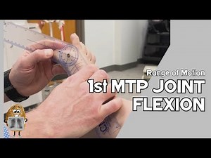 ROM: Metatarsophalangeal (MTP) Joint I Flexion Active & Passive Range of Motion